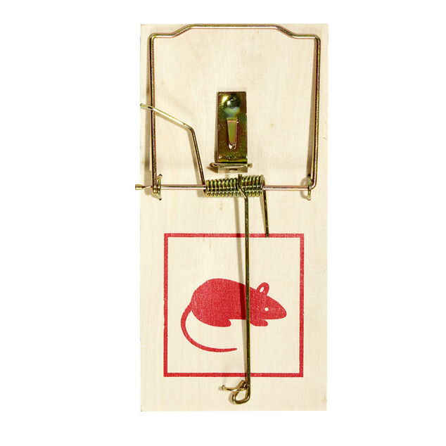 Tapette à souris en bois 17,5x8xép2cm