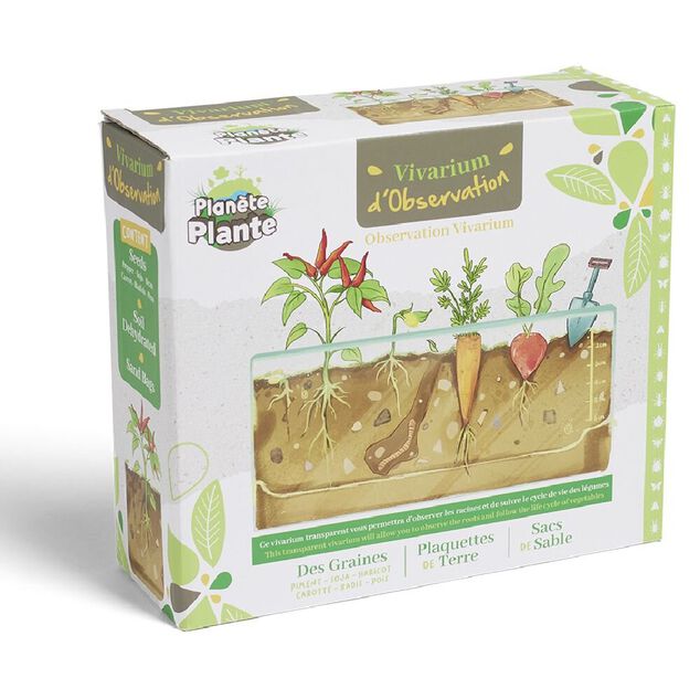Vivarium d'observation racines de l&eacute;gumes