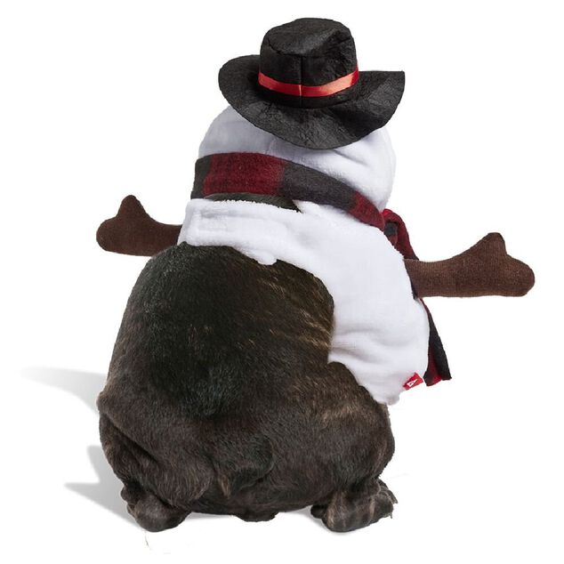 Déguisement bonhomme de neige pour chien