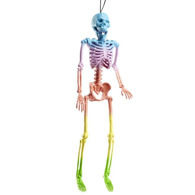 D&eacute;coration Halloween &agrave; suspendre squelette plastique pastel H40cm