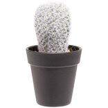 Cactus allongé artificiel vert et blanc Ø7,5xH15cm