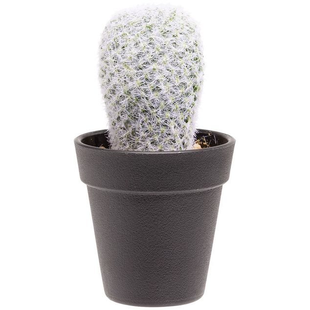 Cactus allongé artificiel vert et blanc Ø7,5xH15cm