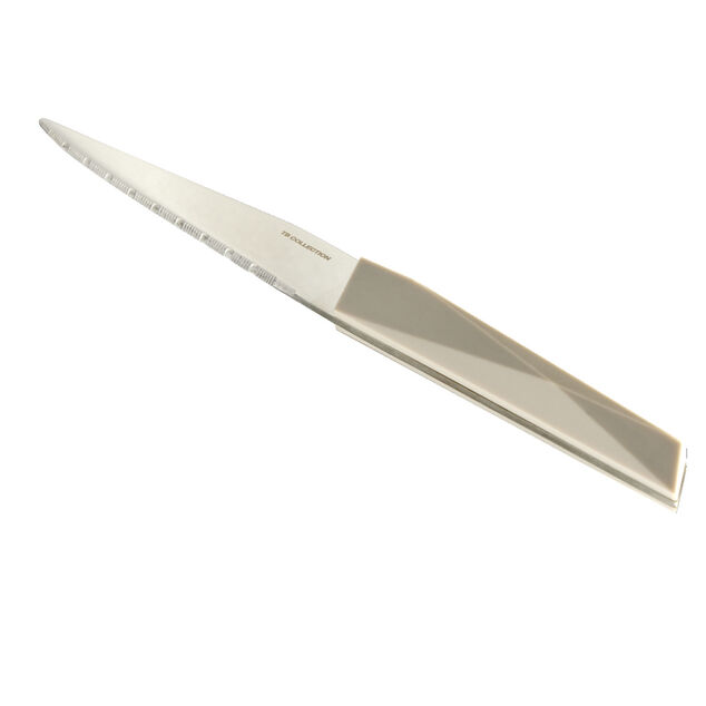 Couteau &agrave; steack inox manche plastique (3 mod&egrave;les)