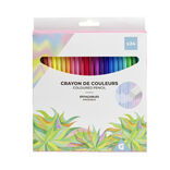 Lot de 24 crayons de couleur effaçables