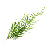 Chute bambou L120cm feuillage artificiel vert