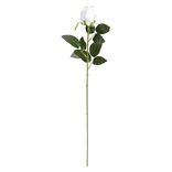 Fleur artificielle rose bouton blanc H63cm