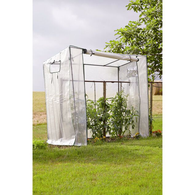 Serre &agrave; tomates en m&eacute;tal avec housse plastique 200x80xH150-169cm