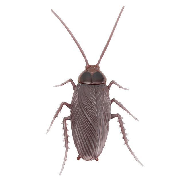Insecte anim&eacute; farce et attrape L10cm (3 mod&egrave;les)