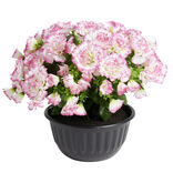 Pot fleur artificielle oeillet rose et blanc 14 tiges &Oslash;30xH23cm