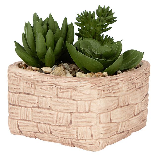 Plante grasse artificielle pot c&eacute;ramique style panier effet pierre