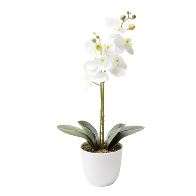Orchid&eacute;e artificielle dans pot blanc &Oslash;11,5xH46cm (3 mod&egrave;les)
