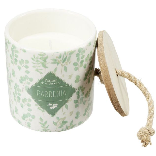 Bougie dans pot c&eacute;ramique design v&eacute;g&eacute;tal