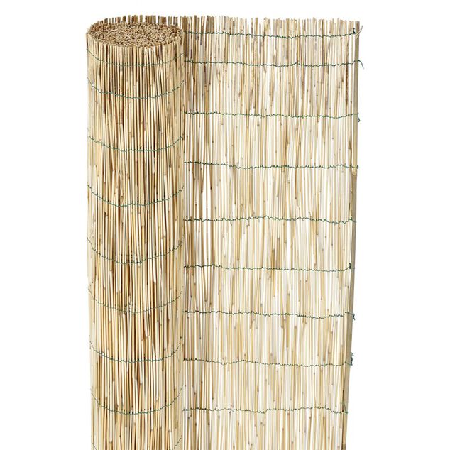 Canisse en paillon de roseaux pel&eacute;s L500 x H150 cm