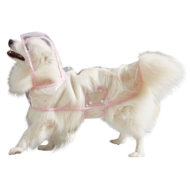 Manteau de pluie imperm&eacute;able transparent pour chien - Taille L