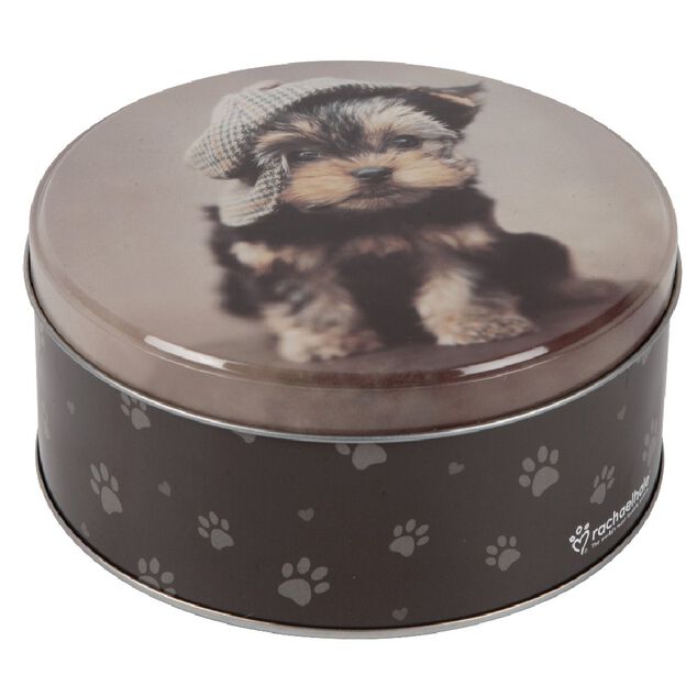 Bo&icirc;te d&eacute;cor animal