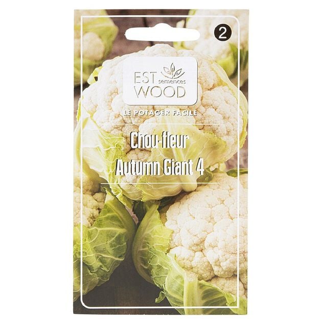 Semence chou fleur geant hiver