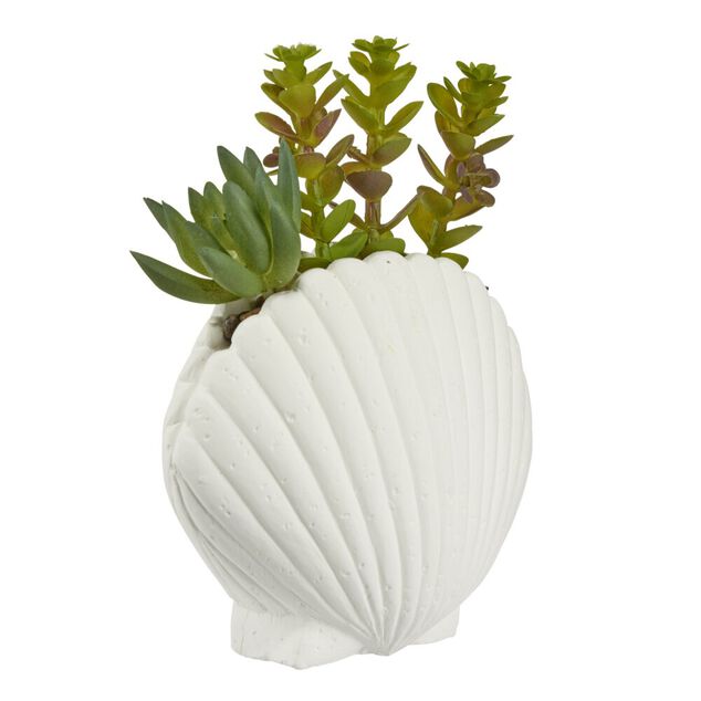 Plante grasse artificielle pot ciment forme coquillage blanc H15,5cm (2 mod&egrave;les)