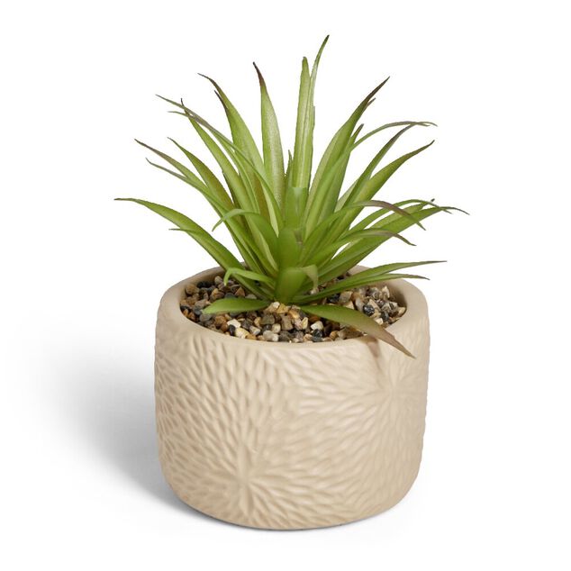 Plante artificielle verte pot ciment relief beige &Oslash;10xH17cm