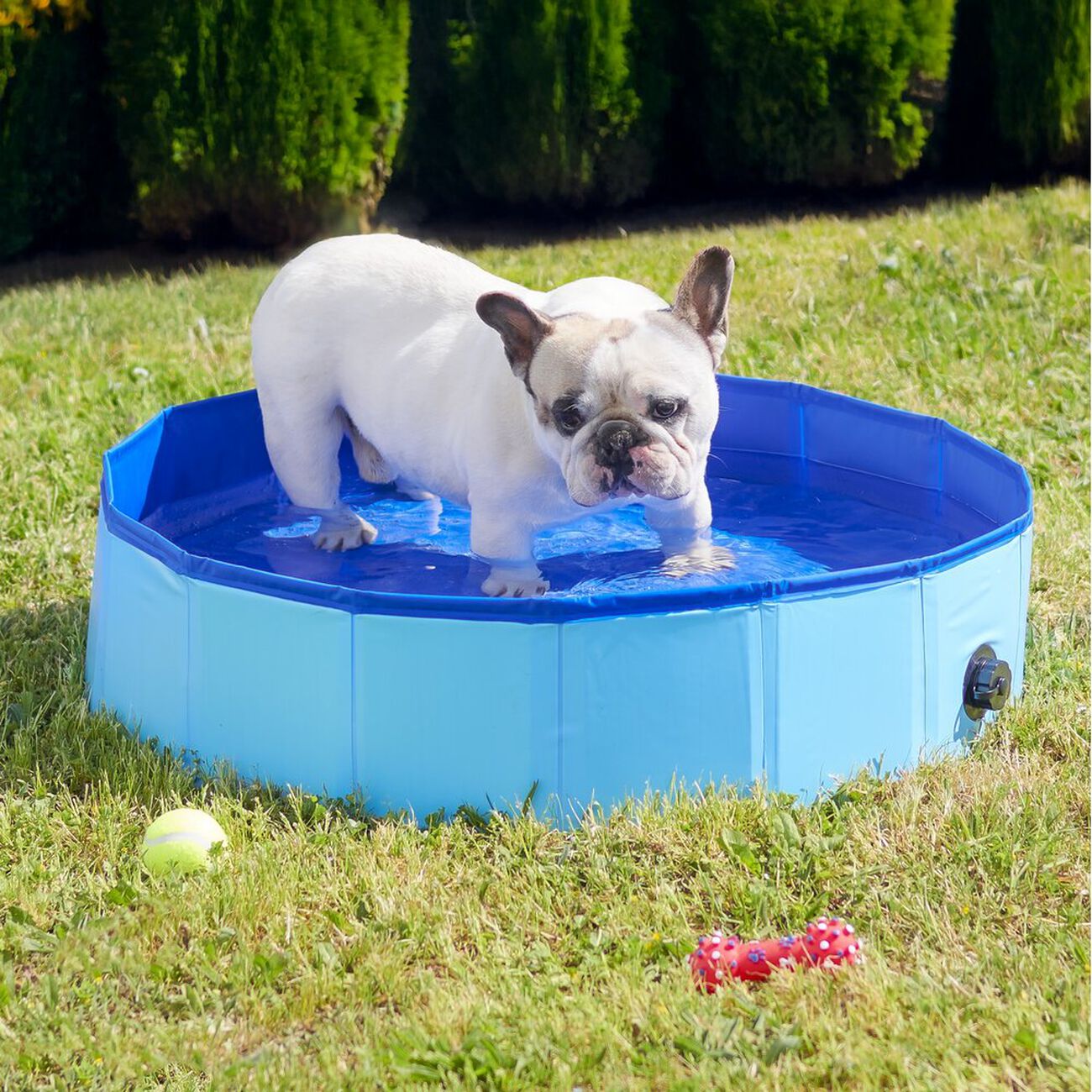 Couverture Piscine Ronde Pour Chien - Tissu Oxford 210D Anti-UV, Tailles S/M/L (82-162 Cm)