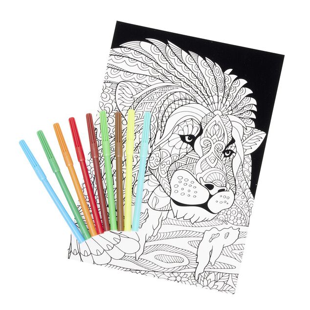 Coloriage velours avec 10 feutres
