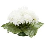 Coussin chrysanth&egrave;me artificiel 15 t&ecirc;tes blanc