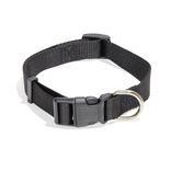 Collier pour chien - Taille L