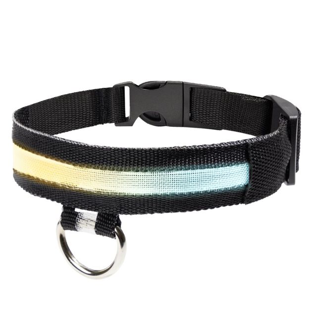 Collier LED pour chien vert L34-41cm - Taille S
