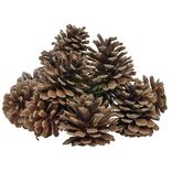 Décoration pomme de pin - Filet de 220g