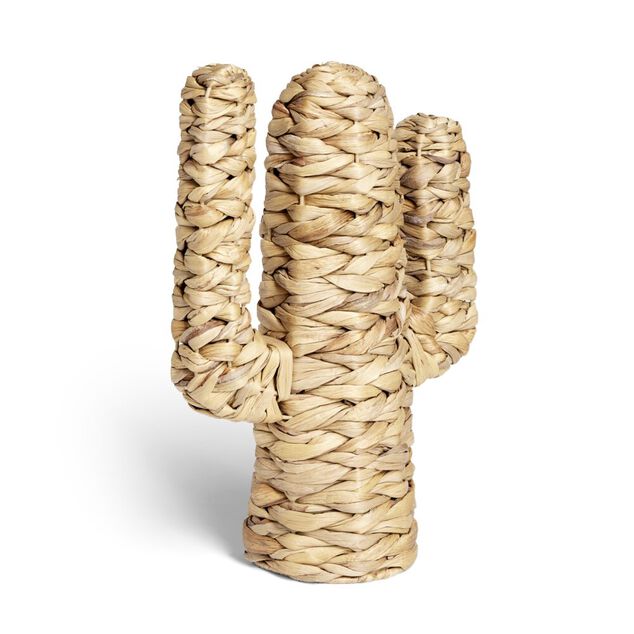 Cactus jacinthe d'eau H35cm