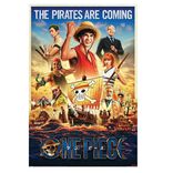 Poster One Piece Live Action 91,5x61cm