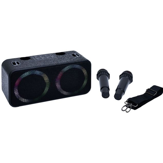 Enceinte karaok&eacute; 2 micros Homday Party