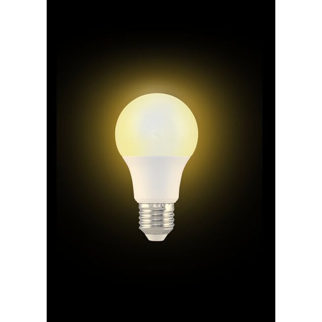 Ampoule LED E27 A60 blanc chaud 8,5W=60W 806lms classe F