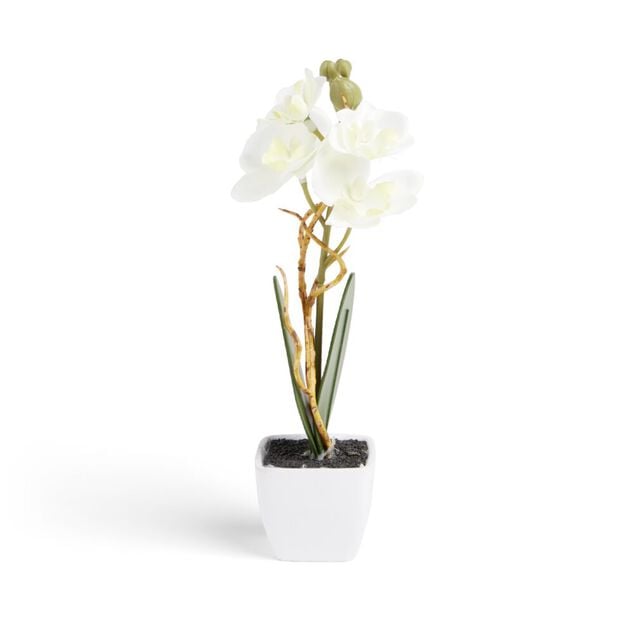Pot orchid&eacute;e artificielle blanche H16cm