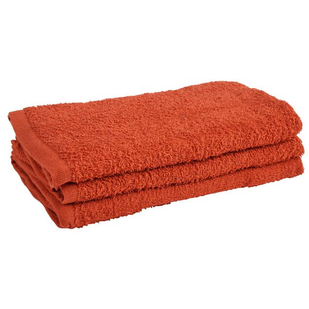 Serviette de toilette coton x3