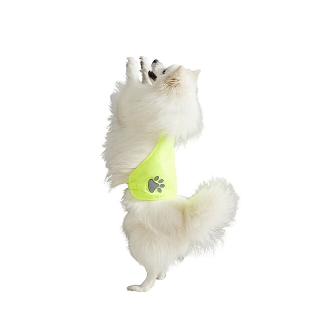 Gilet de s&eacute;curit&eacute; pour chien r&eacute;fl&eacute;chissant Taille M