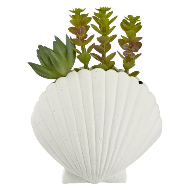 Plante grasse artificielle pot ciment forme coquillage blanc H15,5cm (2 mod&egrave;les)