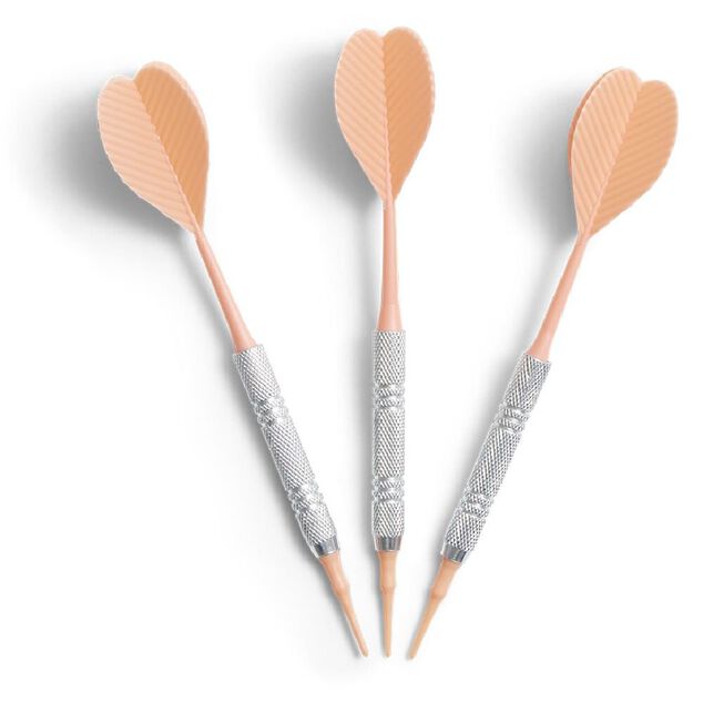 Fl&eacute;chette acier plastique pointe souple x3