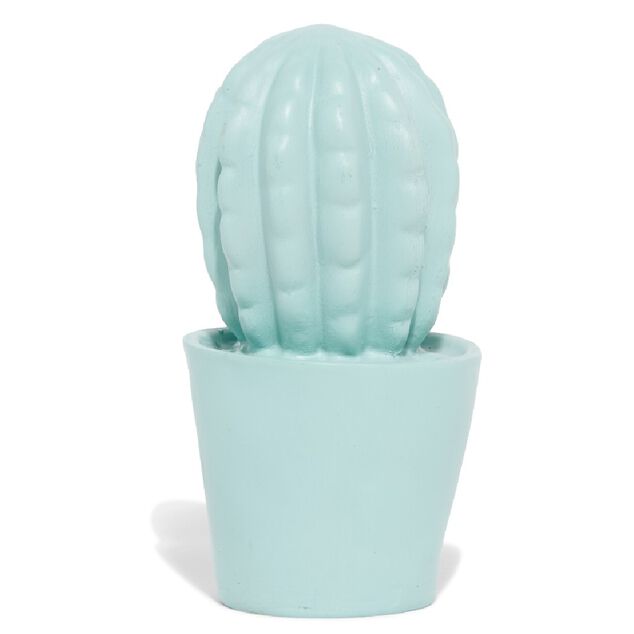 D&eacute;coration pot cactus