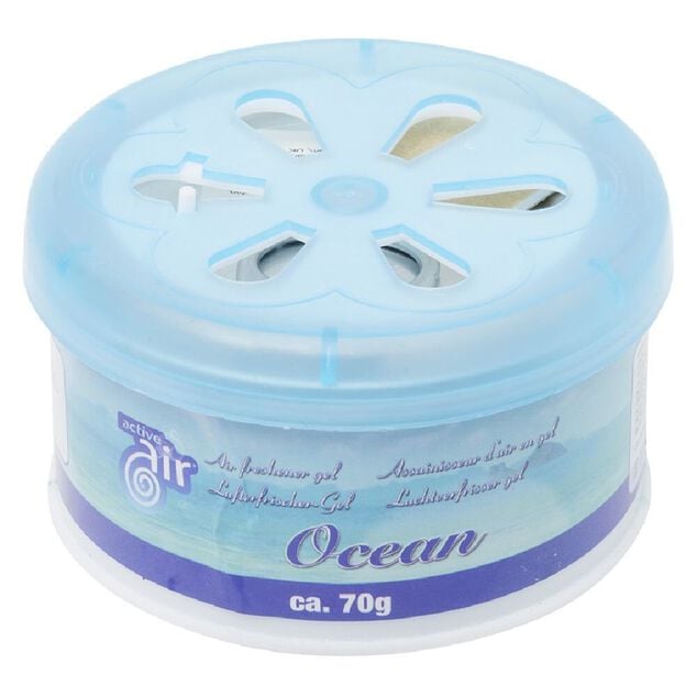 D&eacute;sodorisant gel parfum&eacute; 70g