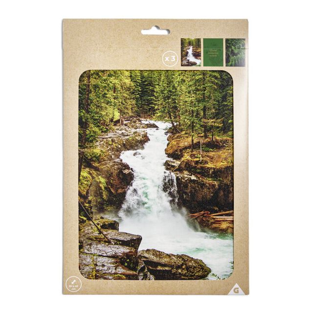 Affiche papier x3 thème nature noir et vert 30x40cm