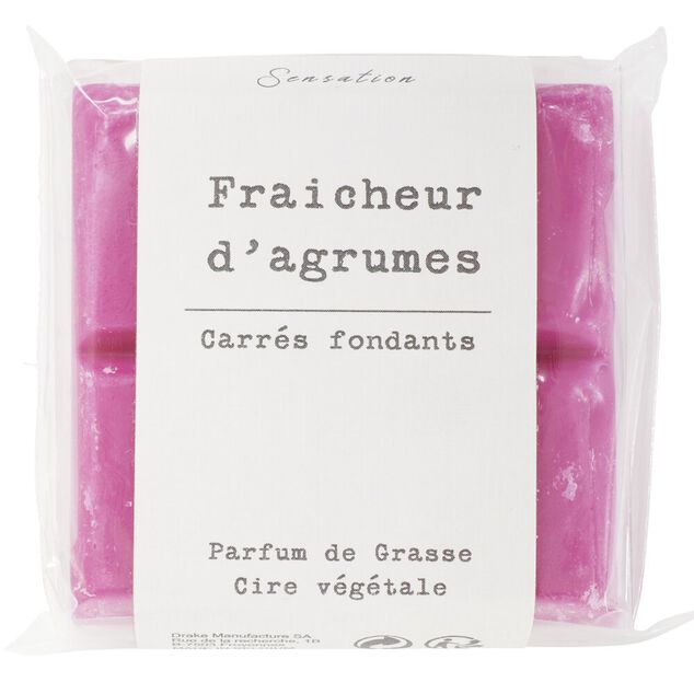 Pastille de cire parfum&eacute;e &Oslash;7x1,5cm