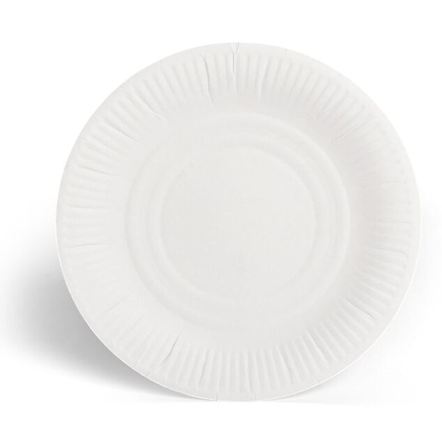 Lot de 100 assiettes en carton blanc &Oslash;23 cm