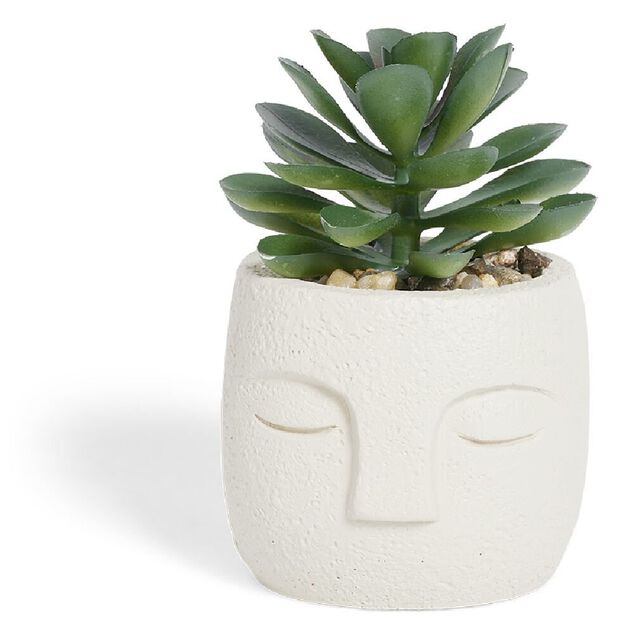 Plante artificielle pot ciment forme visage &Oslash;6,5xH9cm (plusieurs mod&egrave;les)
