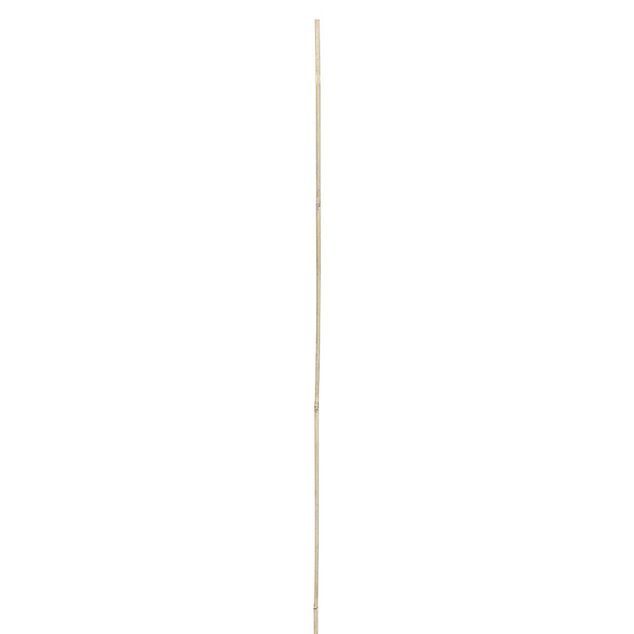 Tuteur bambou &Oslash;1,2xH120cm x8