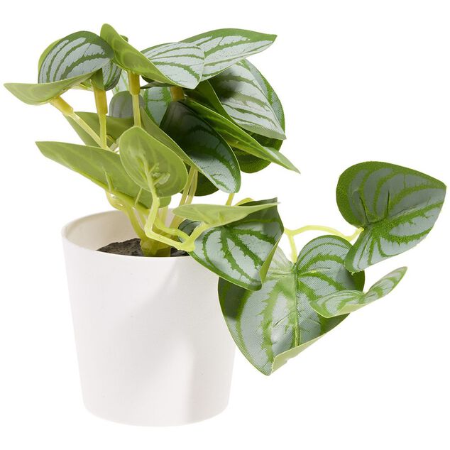 Plante artificielle verte dans pot &Oslash;6xH13cm