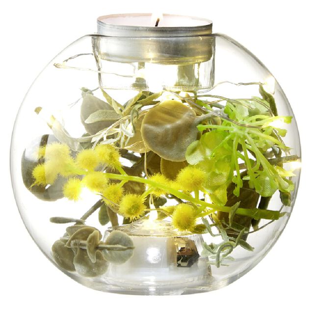 Photophore sph&egrave;re avec plantes et led