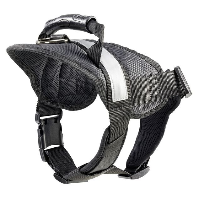Harnais noir pour chien L69cm taille M