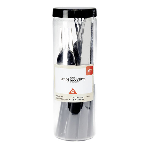 Ménagère couverts acier 12 pièces dans boîte plastique (4 modèles)