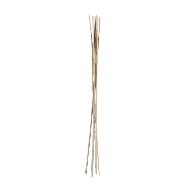 Tuteur bambou &Oslash;1,2xH120cm x8