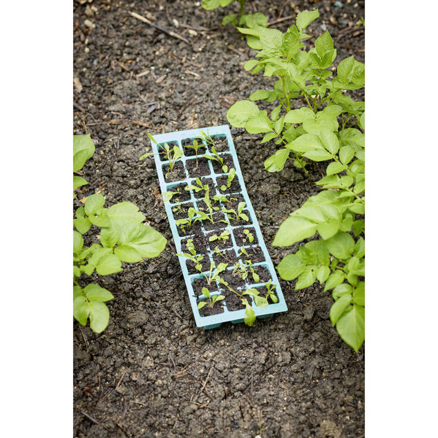 Plateau de culture pour semis plastique vert 27 compartiments 3 pièces